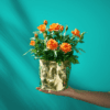 Cheerful Orange Rose Plant